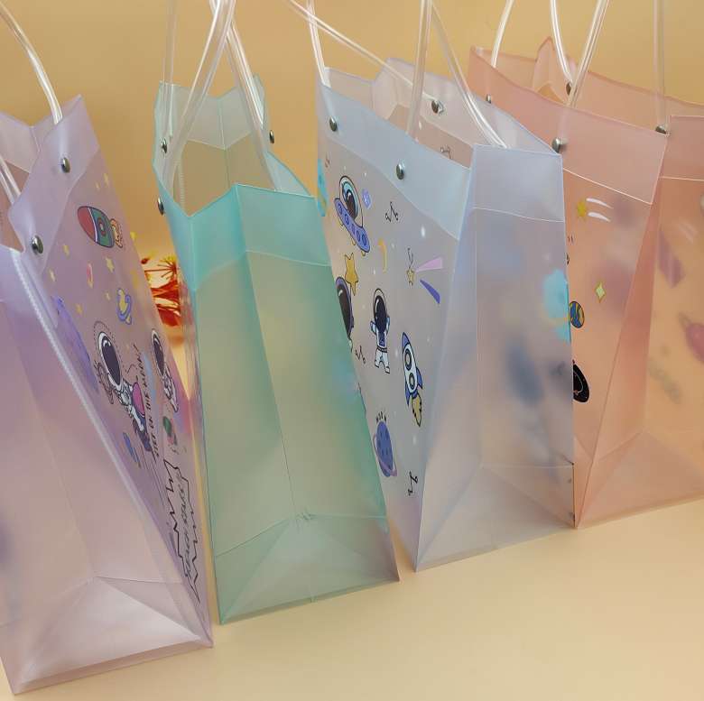 Space Bags – Peppy Poppins